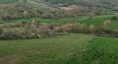 Yalova Fevziye'de 6700 m² yol kenarı tarla