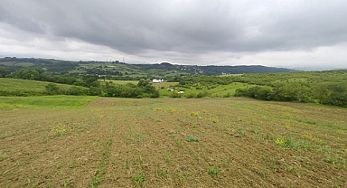 Yalova Çiftlikköy'de 14,3 dönüm arazi