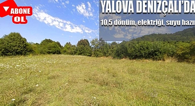 Yalova Denizçalı'da 10,5 dönüm, elektriği, suyu olan arazi