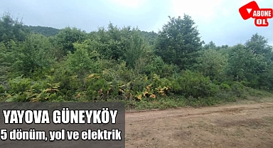 Yalova Güneyköy'de 5 dönüm, resmi yol ve elektriği hazır