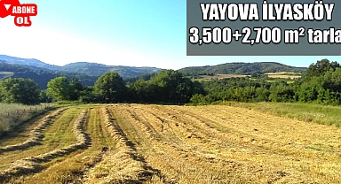 Yalova İlyasköy'de 3,500+2,700 m² iki parça tarla