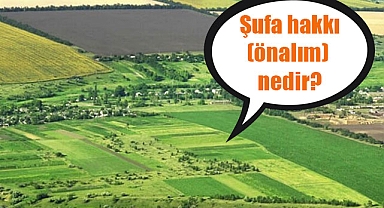 Hisseli tapularda şufa hakkı neye yarar?