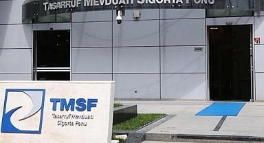 TMSF, ALB İnşaat ve Ak-Süt Tarım'ı satışa çıkardı