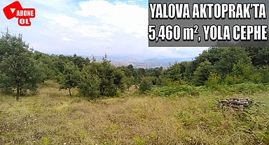 Yalova Aktoprak'ta 5,5 dönüm yola cephe tarla