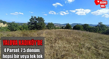 Yalova Kadıköy'de toplam 7,5 dönüm 4 parsel hepsi bir veya tek tek