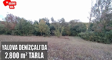 Yalova Denizçalı'da resmi yolu olan 2,800 m² tarla
