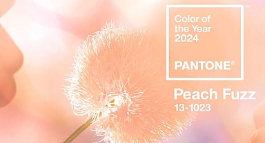 DYO Boya, 2024 Rengi Peach Fuzz'ı mekanlara taşıyor