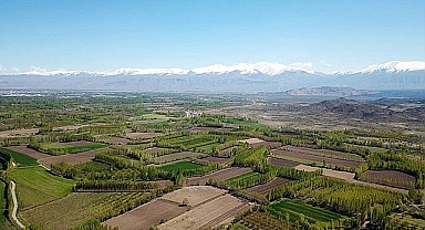 Özhaseki, yabancıların aldığı nitelikli arazi sayısını açıkladı