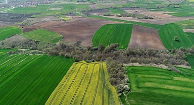 Tapuda geçen ‘müfrez tarla’ ne anlama geliyor?