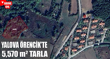 Yalova Örencik'te Çavuşköy sınırında 5,570 m²