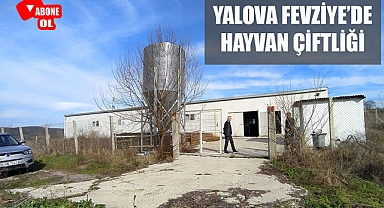 Yalova Fevziye'de kurulu, işletmeye hazır tavuk çiftliği