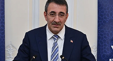 Cumhurbaşkanı Yardımcısı Yılmaz: Dövizdeki oynaklık bitecek