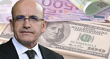 Şimşek: Döviz piyasasındaki oynaklık geçici olarak görülmeli