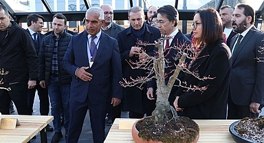 Türkiye'nin ilk, Avrupa'nın en büyük bonsai müzesi Yalova'da açıldı
