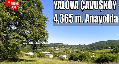 Yalova Çavuşköy-Aktoprak yoluna cephe 4365 m² tarla