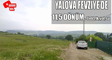 Yalova Fevziye'de 11,5 dönüm. Yolu, suyu, elektriği var