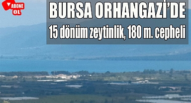 Bursa Orhangazi'de göl manzaralı resmi yolu olan 15 dönüm zeytinlik