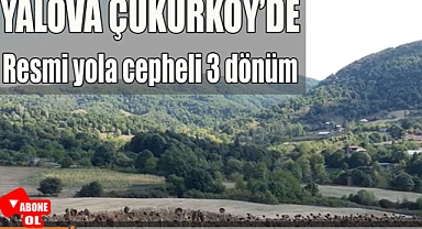 Yalova Çukurköy'de resmi yolu olan manzaralı 3 dönüm