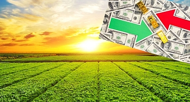 Arazi fiyatları yüzde 124, altın yüzde 90, dolar yüzde 29 arttı