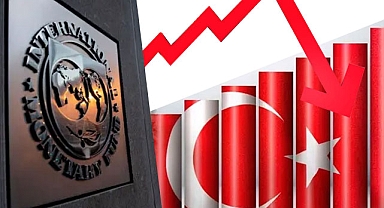 Enflasyonda umudunu kaybeden Türkiye'ye IMF morali geldi