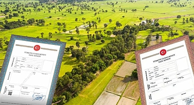 Miras hukukunda önemli değişiklikler: Miras paylarının kardeşlere devri artık daha kolay