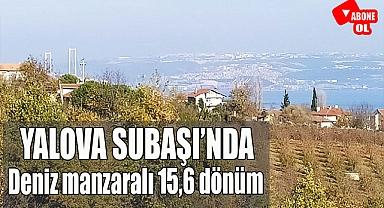 Yalova Subaşı'nda deniz manzaralı 15,6 dönüm