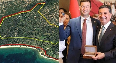 Bodrum'da Zeytinliğin Turizm Alanına Dönüş Hikayesi