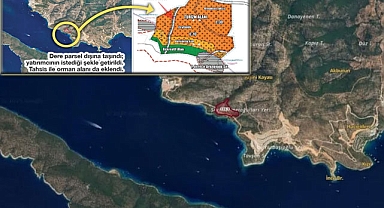 Bodrum'da Zeytinlikten Trilyonluk Ranta Giden Yol