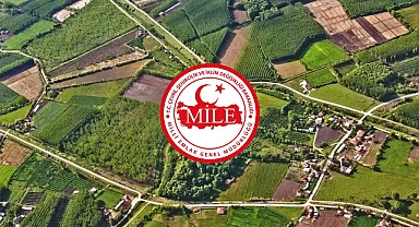 Milli Emlak'tan Eskişehir ve Gaziantep'te Uygun Fiyatlı Kiralık Araziler!