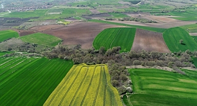 Gaziantep ve Şanlıurfa’da 16 Adet Arsa Satışa Çıkıyor: Fiyatlar 34 Bin TL’den Başlıyor!