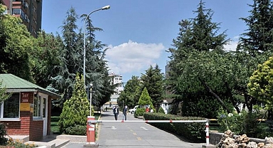 Erenköy'ün en değerli arazisi imara açılmadı: 272 ağaç ve yeşil alan korunacak