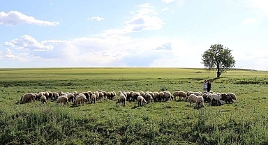 Mera Yönetmeliği'nde Önemli Değişiklikler: Resmî Gazete'de Yayınlandı