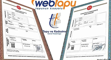 Tapuda cins değişikliği nedir, ne zaman ve neden yapılır?