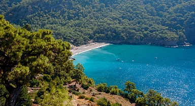 Ormanların denize bakan kısımları turizm yatırımları için özel mülkiyete tahsis edilebilecek