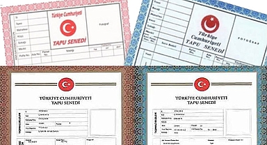 Tapu renkleri ne anlama geliyor? Turkuaz ve kahverengi tapu arasındaki fark ne?