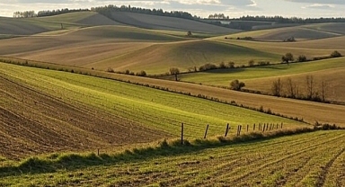 Bakanlık, iki yıldan bu yana ekilmeyen 14 bin dekar tarlayı kiraya çıkıyor