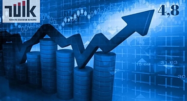 'Öldük, bittik, battık' ise yüzde 4,8 büyüme nereden çıktı?