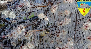 Çiftçilere 'zirai don' uyarısı: 5 ilde sıcaklıklar 6 derece birden düşecek