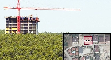 Hazine’den dev tahsis: 271 bin dönüm arazi yatırımcılara tahsis edildi