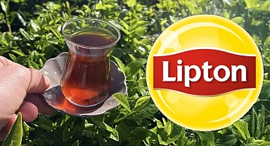 İngiliz çay devi Lipton, 39 yıl sonra Türkiye’de üretimi sonlandırıyor