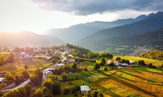 Köy yerleşme alanı nasıl tespit edilir? İşte ilan, planlama ve tescil süreci