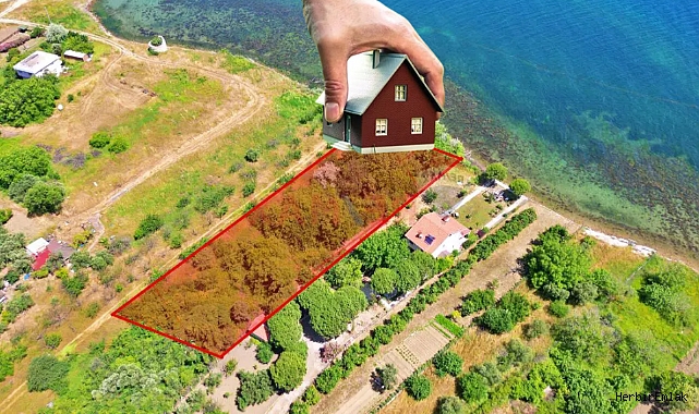 Neden arsa alalım diye soranlar dikkat! Uzmanı tek tek açıkladı