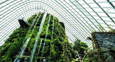 Sürdürülebilir mimarlıkta yeni bir anlayış: Aura Design insan, ekoloji, bilim ve sanatı buluşturuyor