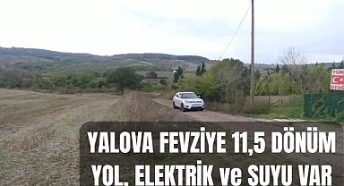 Yalova Fevziye'de 11,5 dönüm. Elektriği, suyu ve resmi yolu var