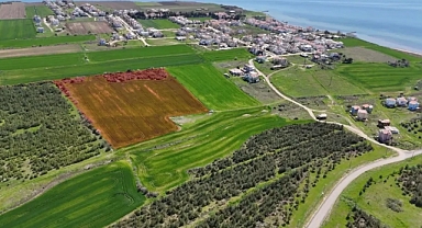 Arazi ve arsa düzenlemelerinde değişiklik: Tapu işlemleri artık farklı yapılacak
