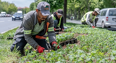 İstanbul’da 2025’te yeşil seferberliği: 26 bin ağaç, 2,1 milyon bitki toprakla buluştu
