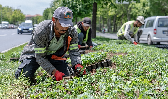 İstanbul’da 2025’te yeşil seferberliği: 26 bin ağaç, 2,1 milyon bitki toprakla buluştu