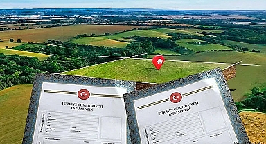 Tapu devrinde bu hataları yapmayın: Uzmanlardan kritik uyarılar