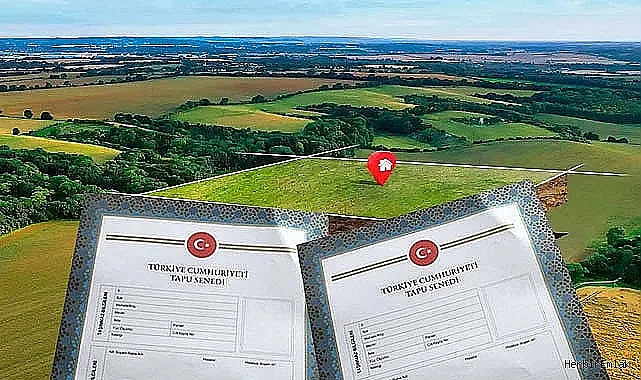 Tapu devrinde bu hataları yapmayın: Uzmanlardan kritik uyarılar