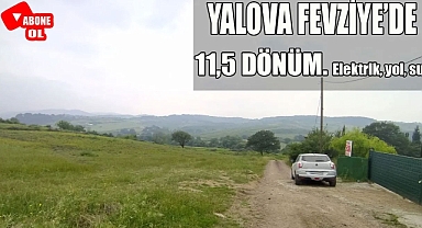 Yalova Altınova Fevziye'de yatırım fırsatı: 11 bin m² yolu, elektriği, suyu olan arazi satışta